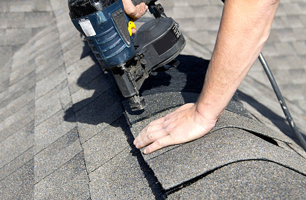 Best Roof Moss and Algae Removal  in Country Walk, FL